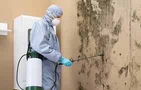 Best Mold Remediation for Healthcare Facilities  in Lexington, OH